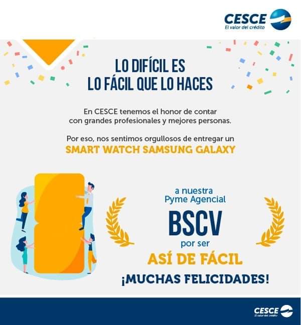 cartel promocional BSCV